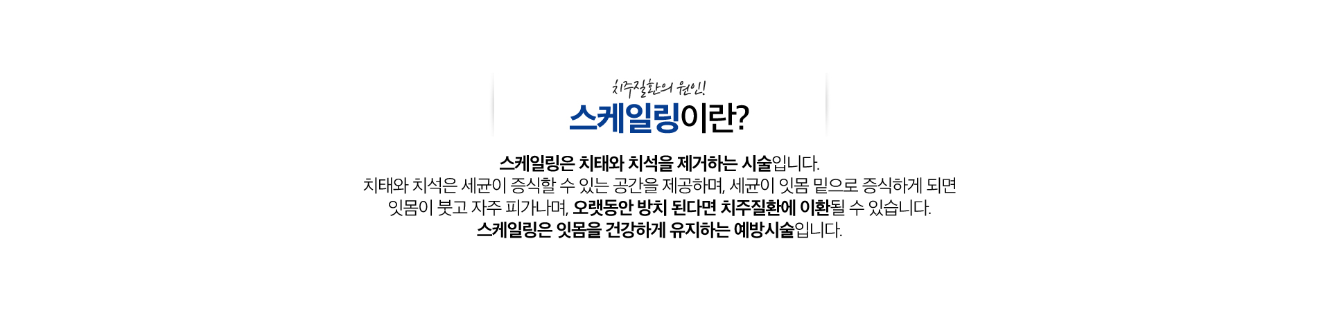 스케일링 진료 안내 이미지 1: 스케일링. 칫솔질로 제거되지 않는 치석과 세균막을 전문 장비로 없애 잇몸 질환을 예방하는 가장 기본적인 잇몸 관리입니다.
