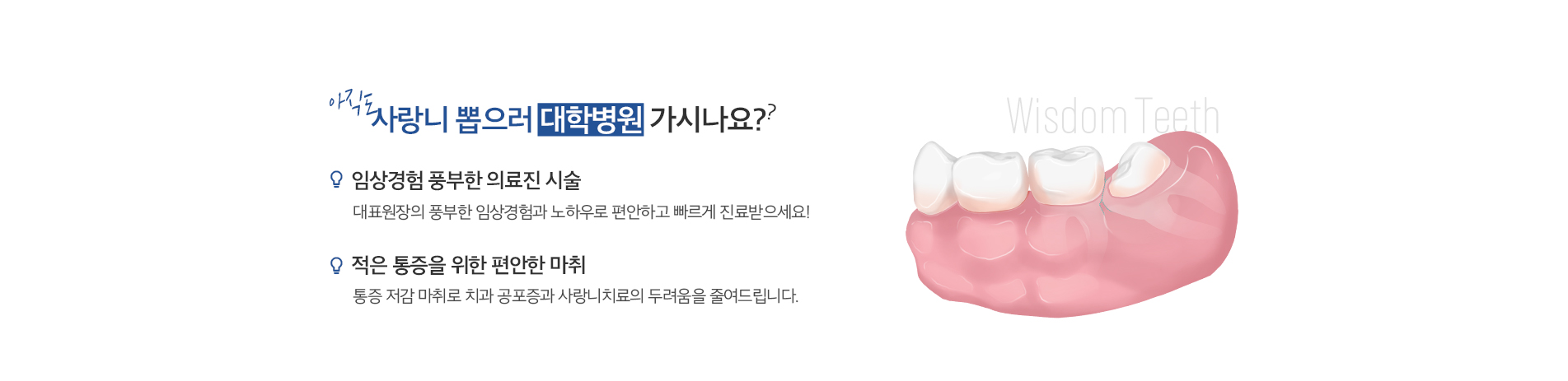 사랑니 발치 진료 안내 이미지 1: 사랑니 발치. 매복 사랑니부터 신경관에 가까운 어려운 발치까지, 정확한 진단과 안전한 발치로 부담을 줄여드립니다.